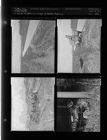 Wreck on Stokes highway (4 Negatives (November 20, 1954) [Sleeve 52, Folder c, Box 5]
